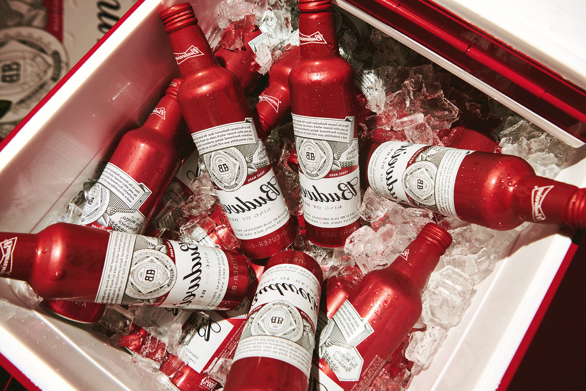 Budweiser Selfie Bud — Mari Juliano